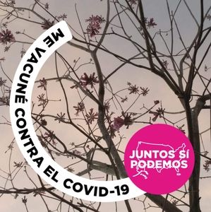 Meet your Posher, Norma